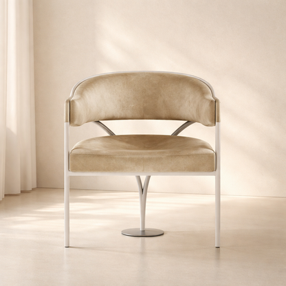 Madelyn Velvet Dining Chair (set of 2)