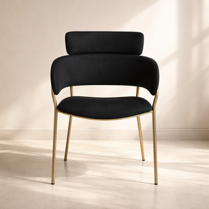 Yara Velvet Dining Chair (set of 2)