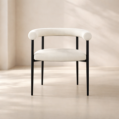 Louie Boucle Fabric Dining Chair (set of 2) 