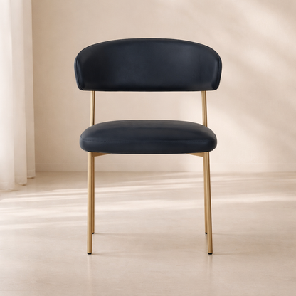 Lupita Vegan Leather Upholstered Dining Chair (set of 2)