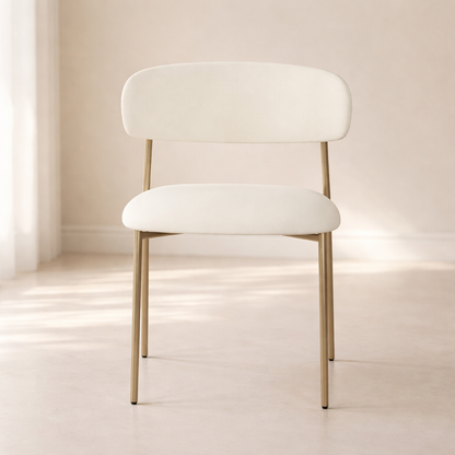 Lupita Vegan Leather Upholstered Dining Chair (set of 2)