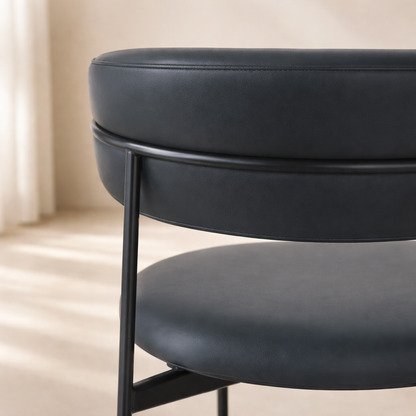 Lupita Vegan Leather Upholstered Dining Chair (set of 2)