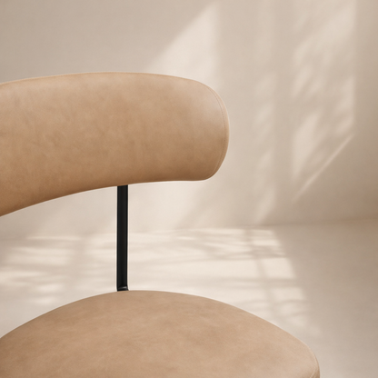 Lupita Vegan Leather Upholstered Dining Chair (set of 2)