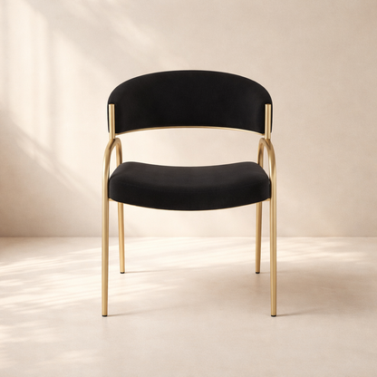 Privet Linen Textured Fabric Upholstered Dining Chair (set of 2)