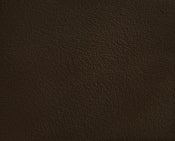 Kennedy Teddy Fabric Bench