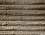 Dexter Corduroy Fabric Bed