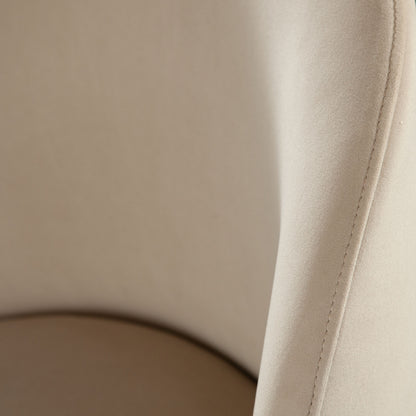 Kendall Dining Chair (set of 2)